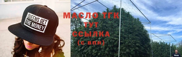 прущие грибы Грязовец
