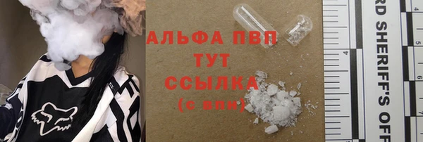 гашик Зеленокумск
