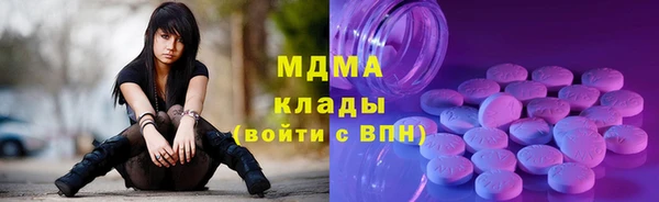 индика Протвино