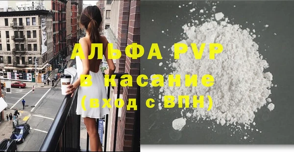 гашик Зеленокумск