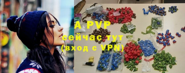 индика Протвино