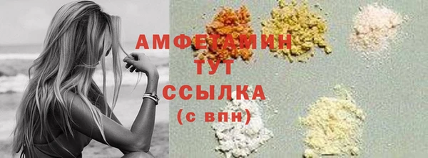 индика Протвино