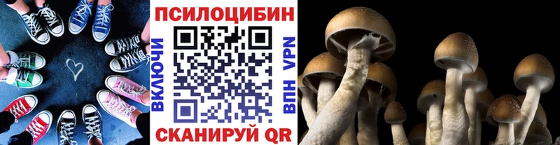 Псилоцибиновые грибы MAGIC MUSHROOMS  где можно купить наркотик  Каменногорск 